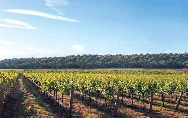 22.3 Acres of Improved Agricultural Land for Sale in Cape May Court House, New Jersey