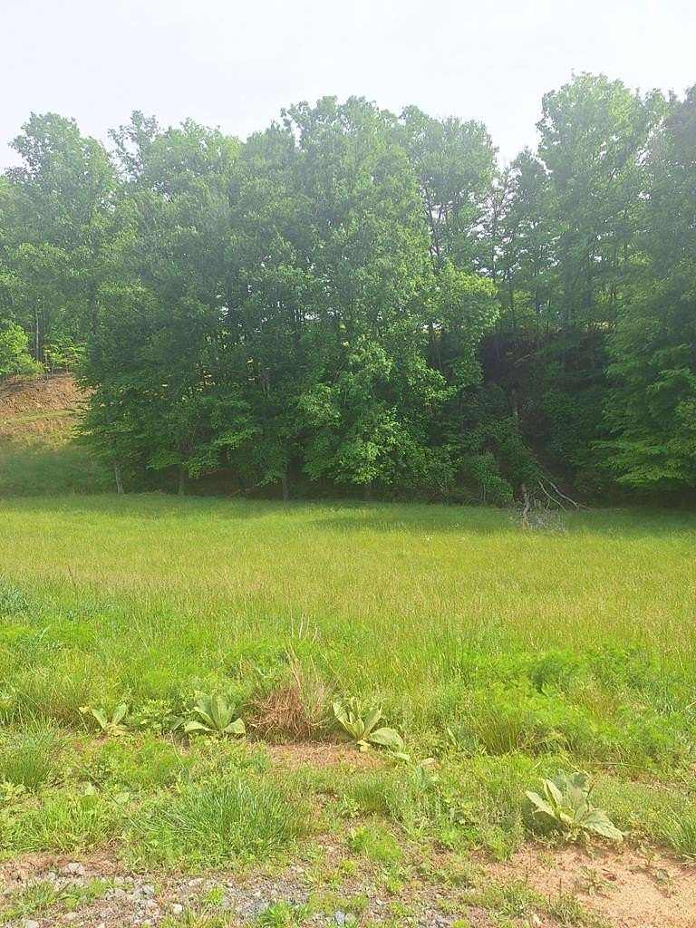 1.83 Acres of Residential Land for Sale in Morganton, Georgia