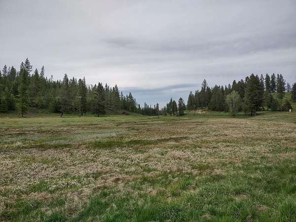 61.5 Acres of Recreational & Residential Land for Sale in Valley, Washington