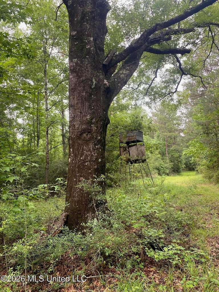 80 Acres of Land for Sale in Gloster, Mississippi
