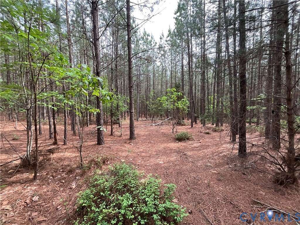 36.9 Acres of Land for Sale in Dillwyn, Virginia