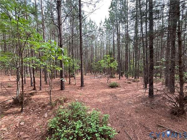 36.9 Acres of Land for Sale in Dillwyn, Virginia