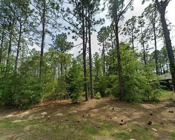 0.26 Acres of Land for Sale in Citrus Springs, Florida