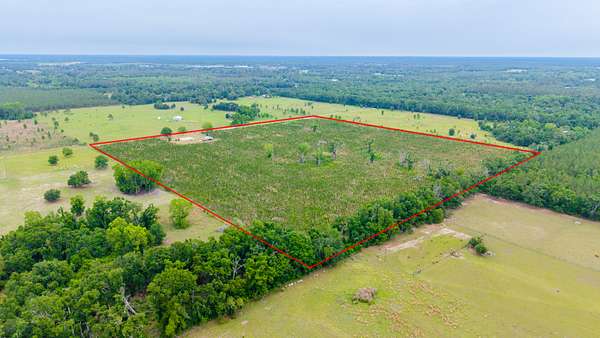 40 Acres of Land for Sale in Live Oak, Florida