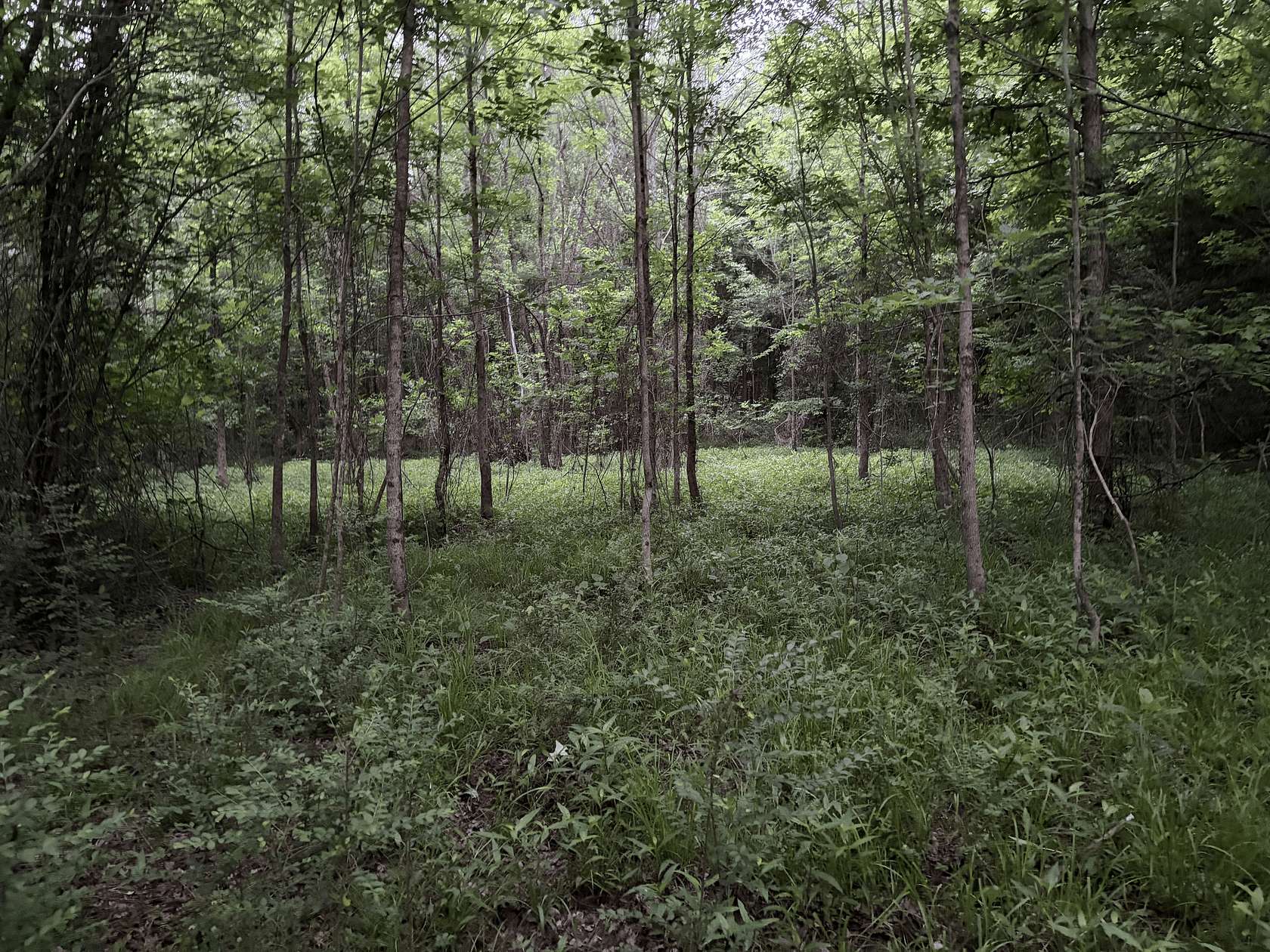 34 Acres of Land for Sale in Marietta, Texas