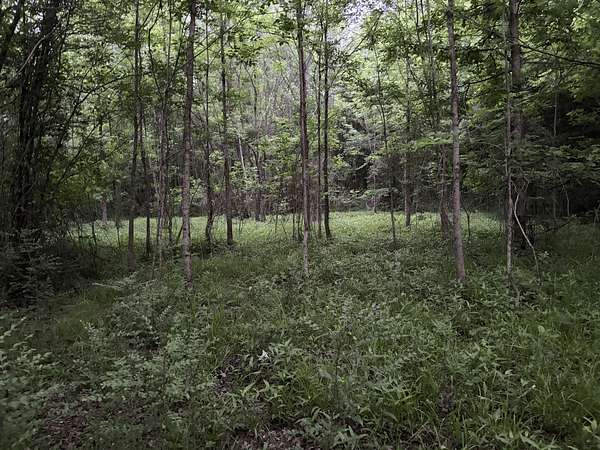 34 Acres of Land for Sale in Marietta, Texas