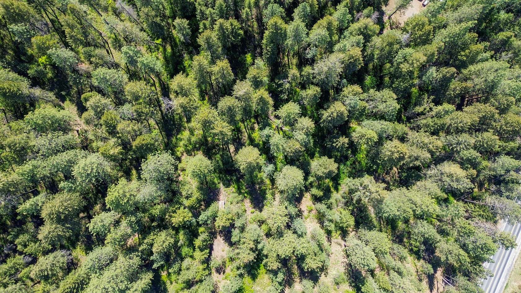 5.4 Acres of Residential Land for Sale in Kettle Falls, Washington