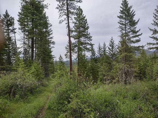 125 Acres of Recreational & Residential Land for Sale in Valley, Washington
