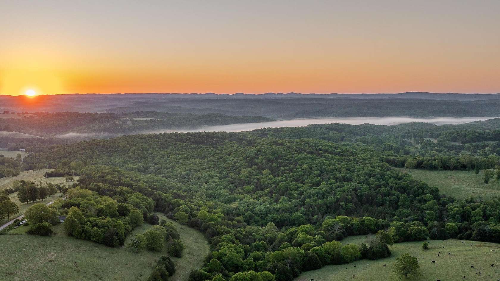 45 Acres of Recreational & Residential Land for Sale in Thornfield, Missouri