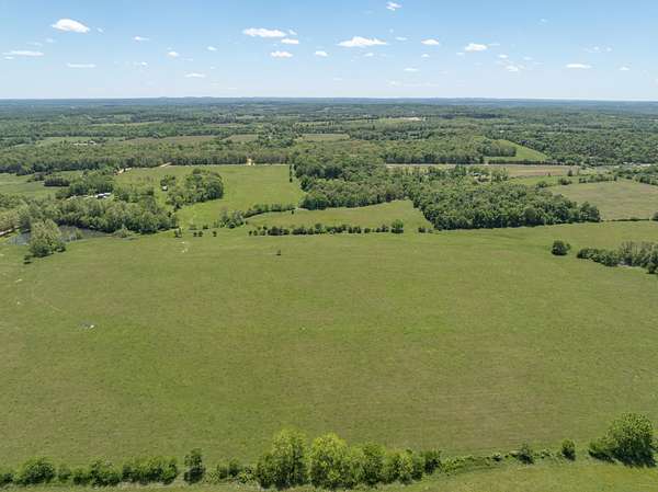 44 Acres of Land for Sale in Hartville, Missouri