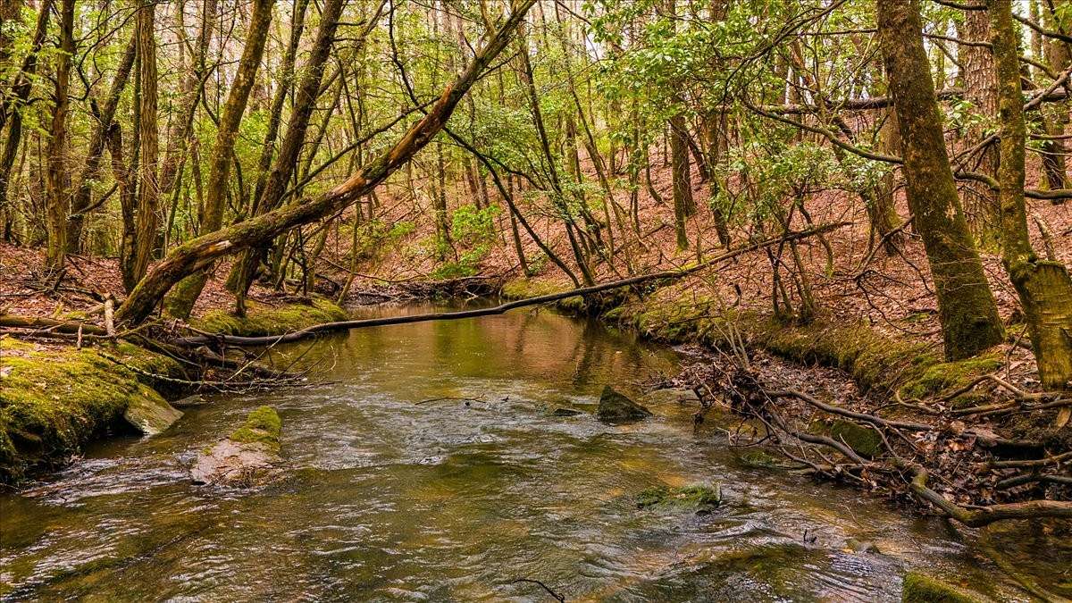 7.58 Acres of Residential Land for Sale in Monteagle, Tennessee