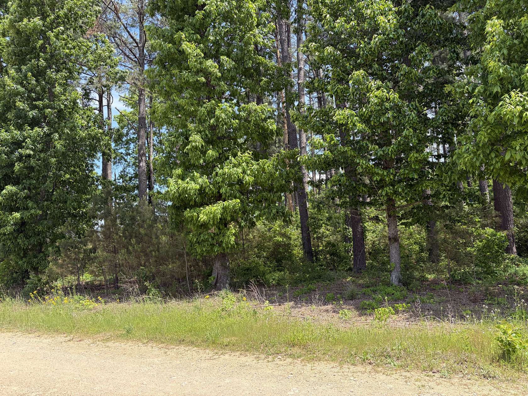 2.56 Acres of Land for Sale in Waynesboro, Tennessee