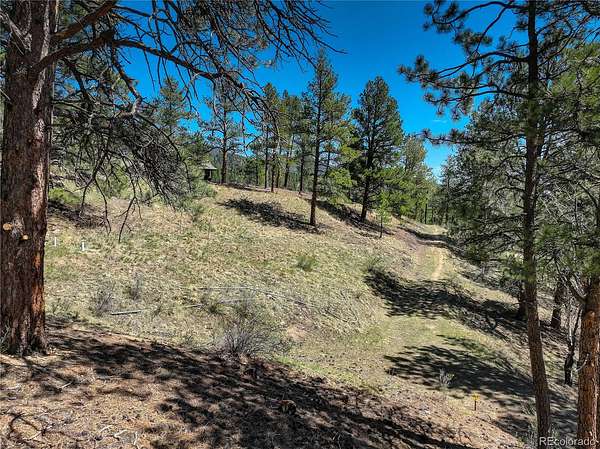 0.24 Acres of Residential Land for Sale in Evergreen, Colorado