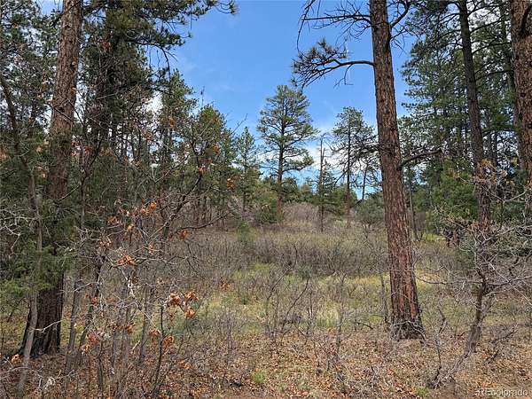 0.91 Acres of Residential Land for Sale in Larkspur, Colorado