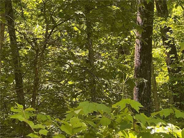 4.59 Acres of Land for Sale in Harrison, Arkansas