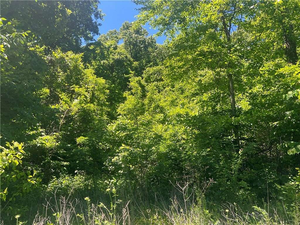 7.4 Acres of Land for Sale in Harrison, Arkansas