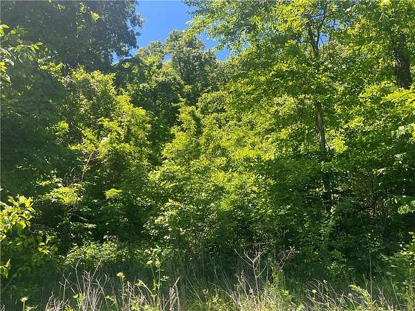 7.4 Acres of Land for Sale in Harrison, Arkansas