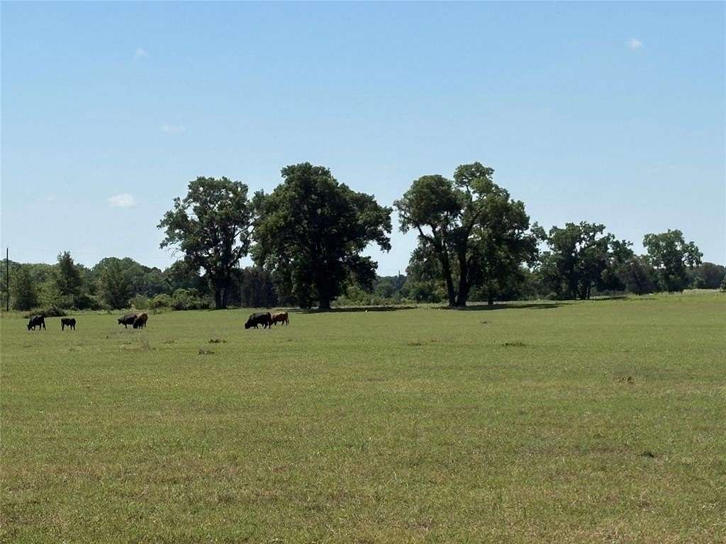 71 Acres of Land for Sale in Gorman, Texas