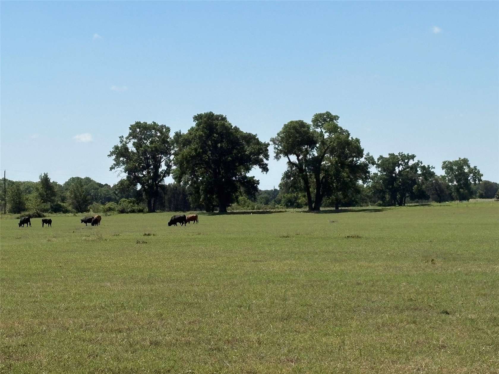 71 Acres of Land for Sale in Gorman, Texas