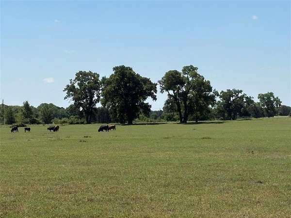 71 Acres of Land for Sale in Gorman, Texas