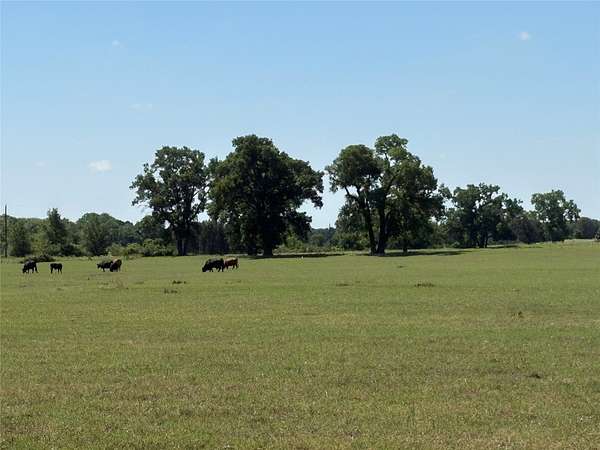 71 Acres of Land for Sale in Gorman, Texas