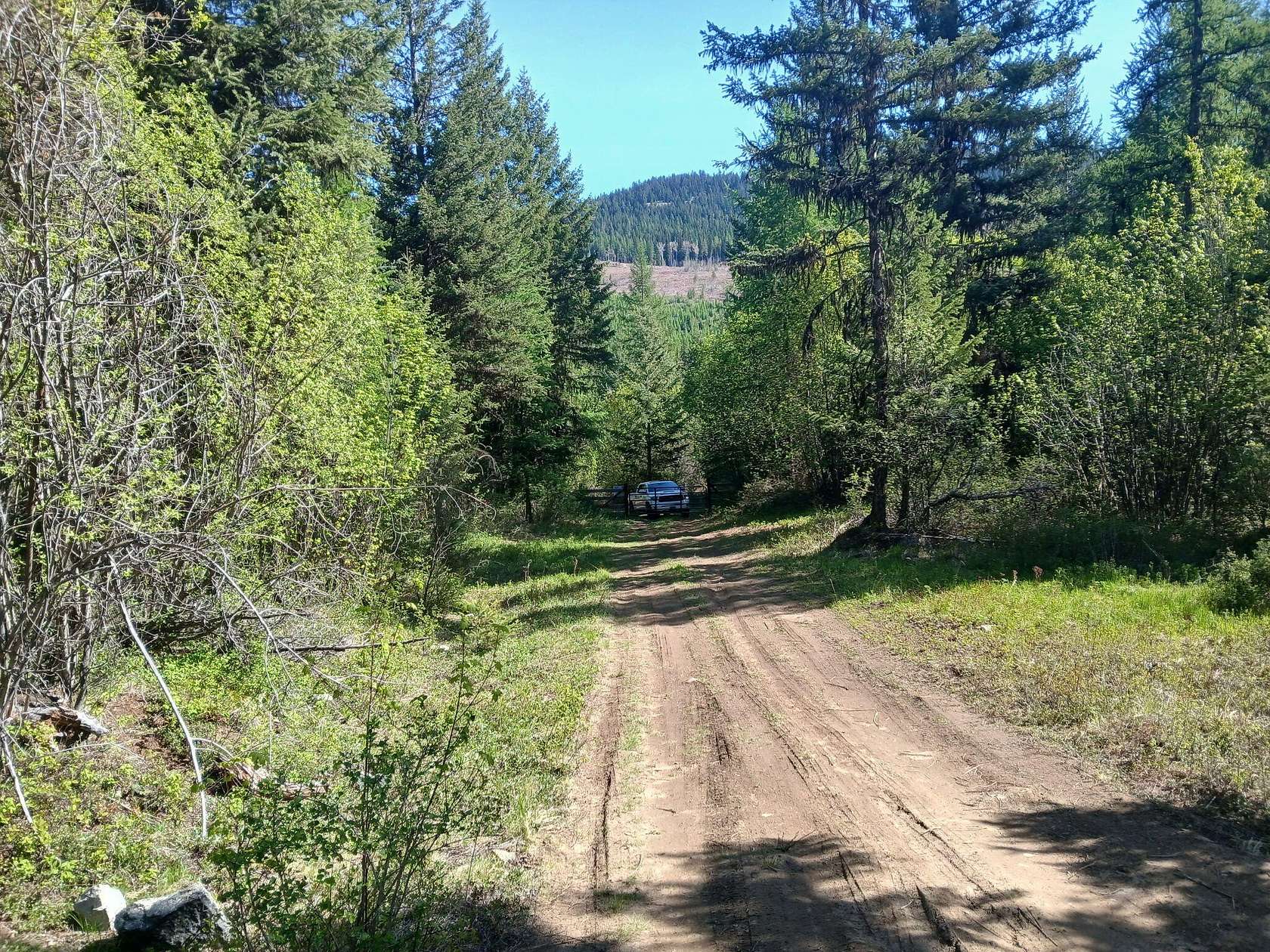 60 Acres of Recreational Land for Sale in Curlew, Washington