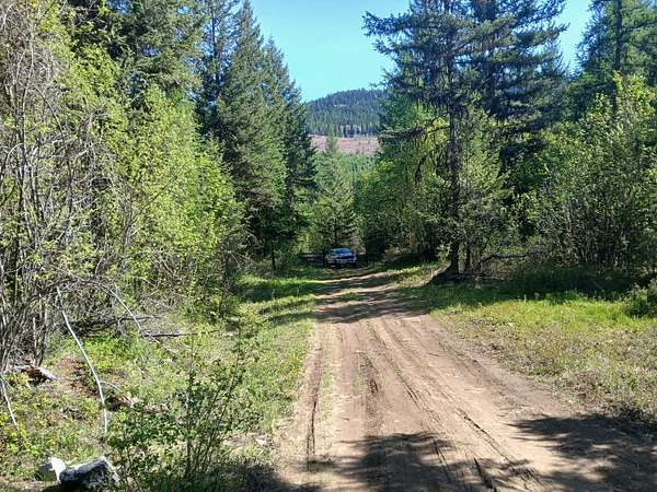 60 Acres of Recreational Land for Sale in Curlew, Washington