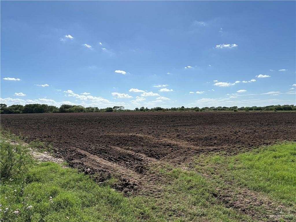 62 Acres of Agricultural Land for Sale in Raymondville, Texas