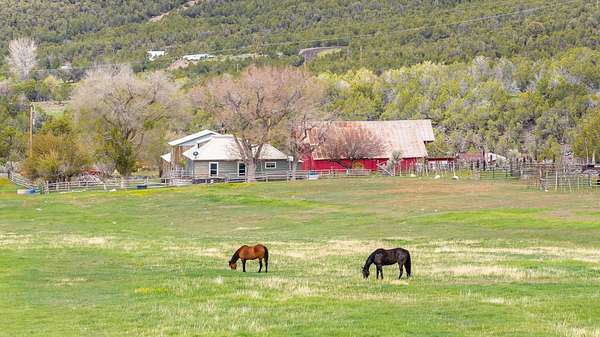80 Acres of Land with Home for Sale in Molina, Colorado