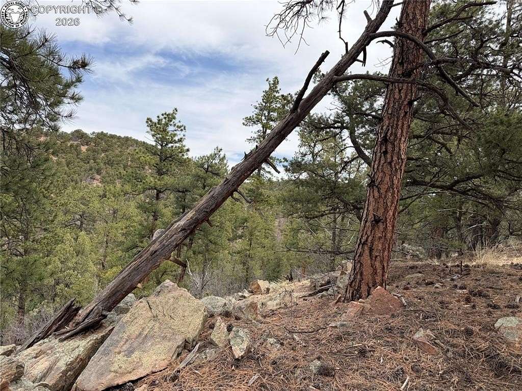 5.1 Acres of Land for Sale in Cotopaxi, Colorado