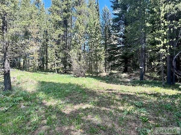 0.38 Acres of Land for Sale in Island Park, Idaho