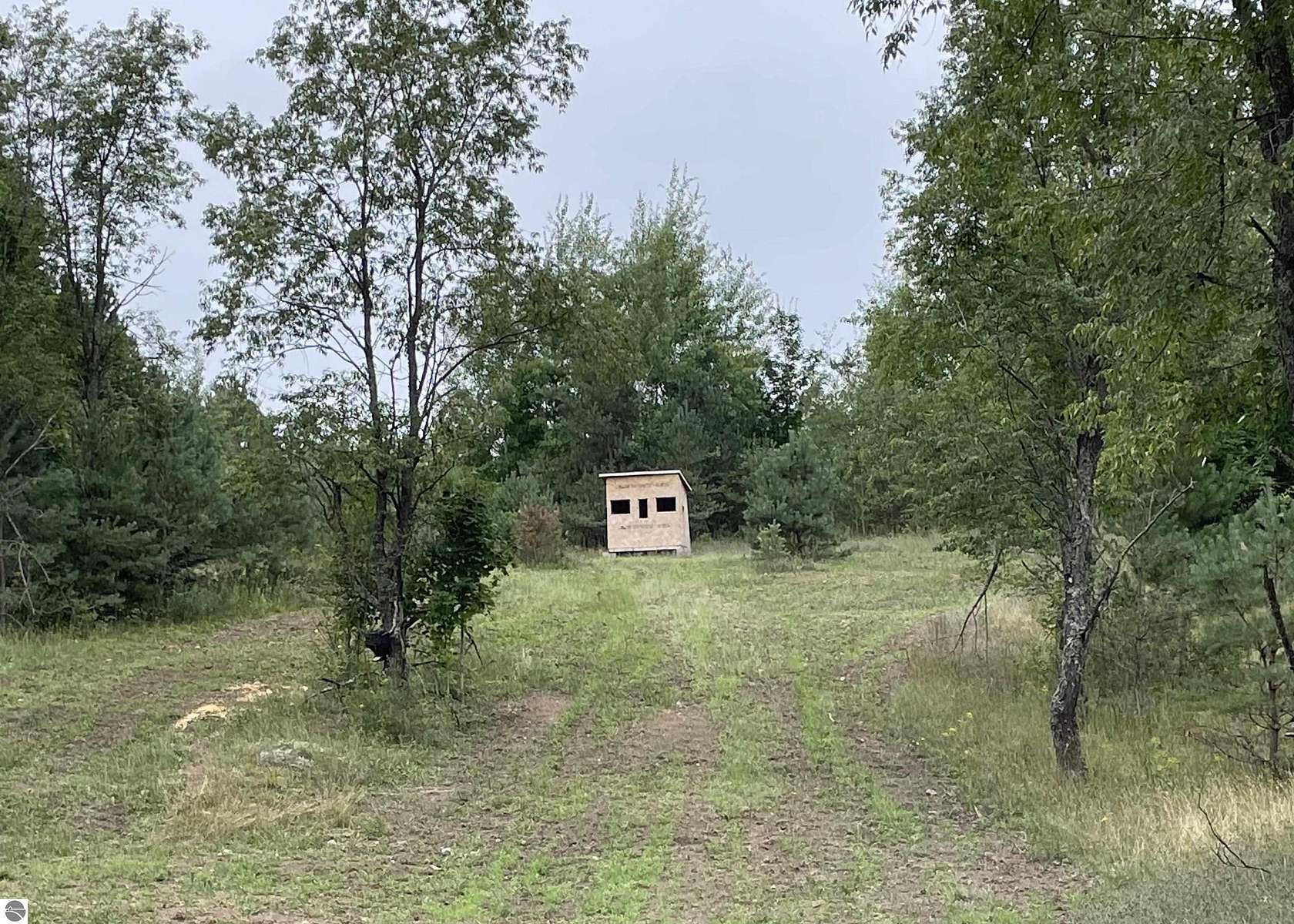80 Acres of Recreational & Residential Land for Sale in Mancelona, Michigan