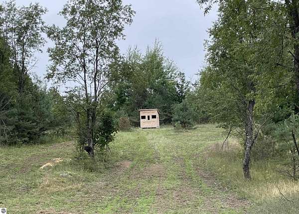 80 Acres of Recreational & Residential Land for Sale in Mancelona, Michigan
