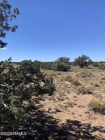 40 Acres of Recreational Land for Sale in Williams, Arizona