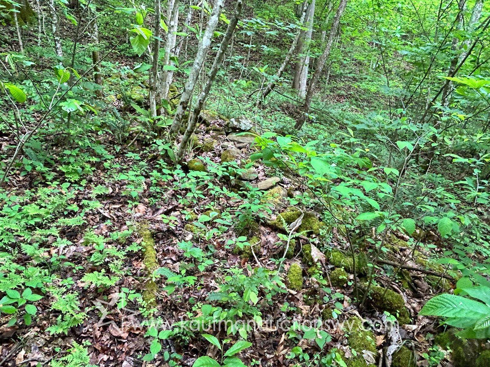 35.8 Acres of Recreational & Residential Land for Sale in Crum, West Virginia