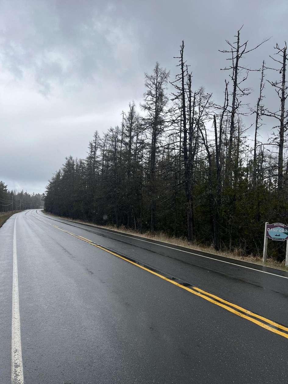 128 Acres of Land for Sale in Danforth, Maine