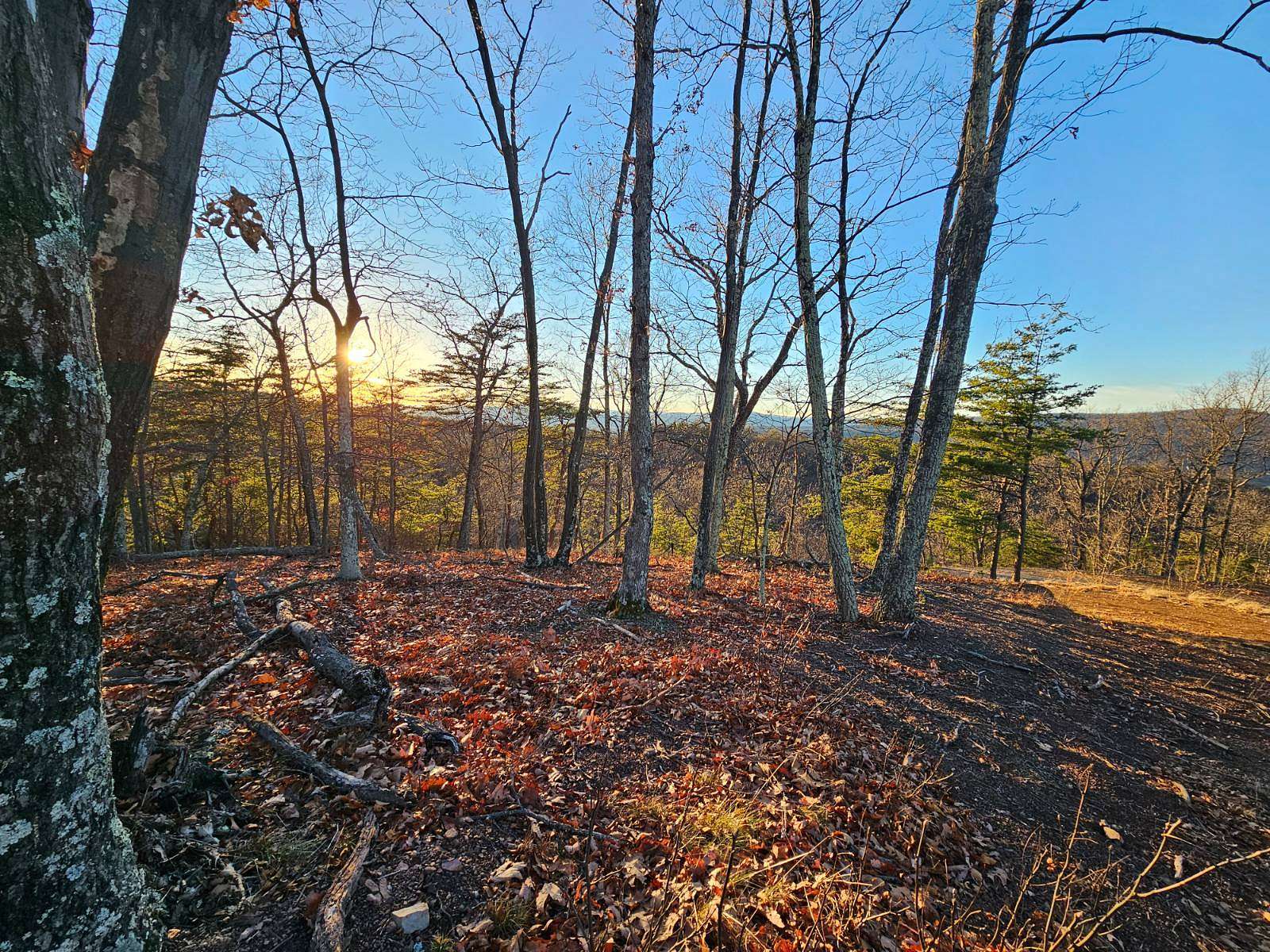20.3 Acres of Recreational & Residential Land for Sale in Moorefield, West Virginia