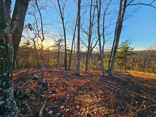 20.3 Acres of Recreational & Residential Land for Sale in Moorefield, West Virginia