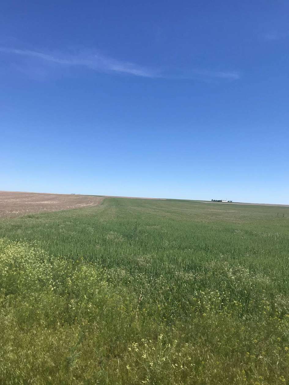 162 Acres of Agricultural Land for Sale in Dalton, Nebraska