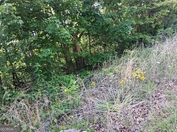 0.32 Acres of Residential Land for Sale in Gainesville, Georgia