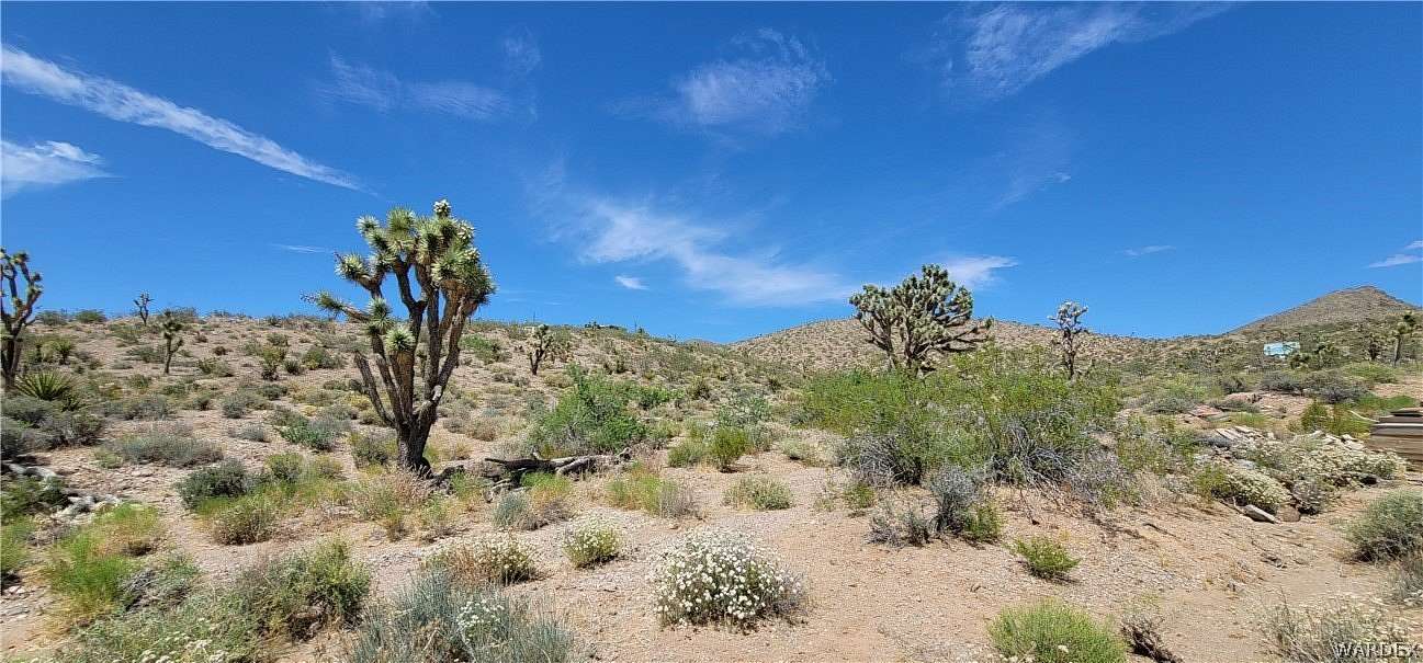 1 Acre of Residential Land for Sale in White Hills, Arizona