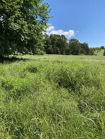 2 Acres of Land for Sale in Briggsville, Arkansas