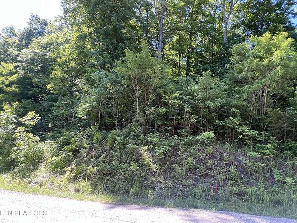 5 Acres of Residential Land for Sale in Jamestown, Tennessee