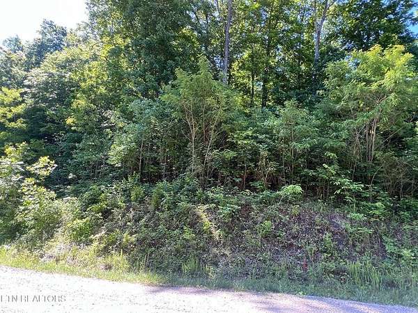 5 Acres of Residential Land for Sale in Jamestown, Tennessee