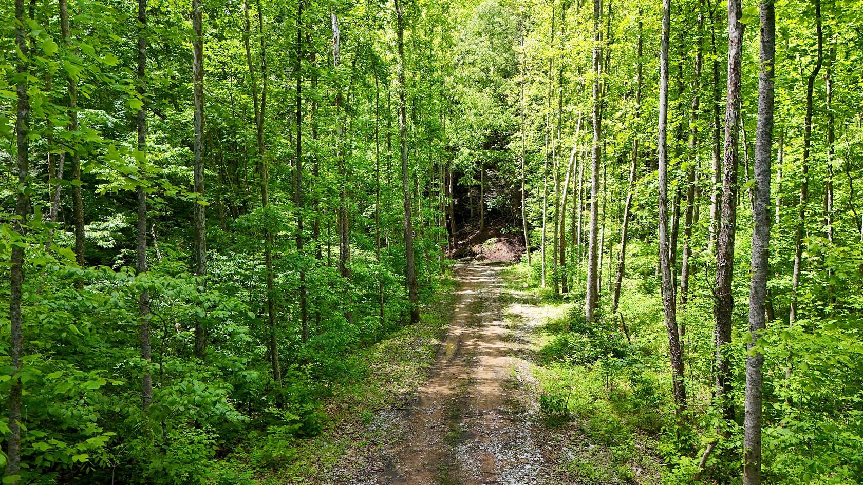 121 Acres of Recreational Land for Sale in Roark, Kentucky