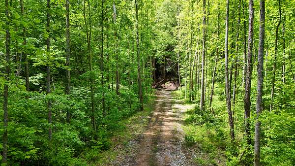 121 Acres of Recreational Land for Sale in Roark, Kentucky
