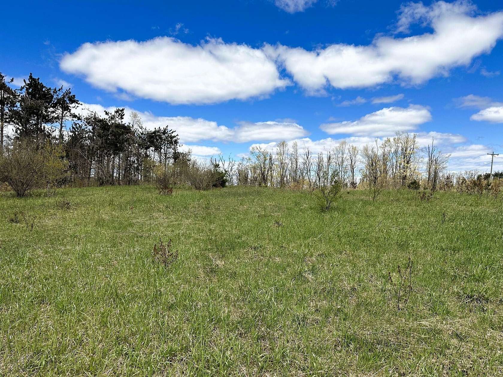 32 Acres of Agricultural Land for Sale in Gaylord, Michigan