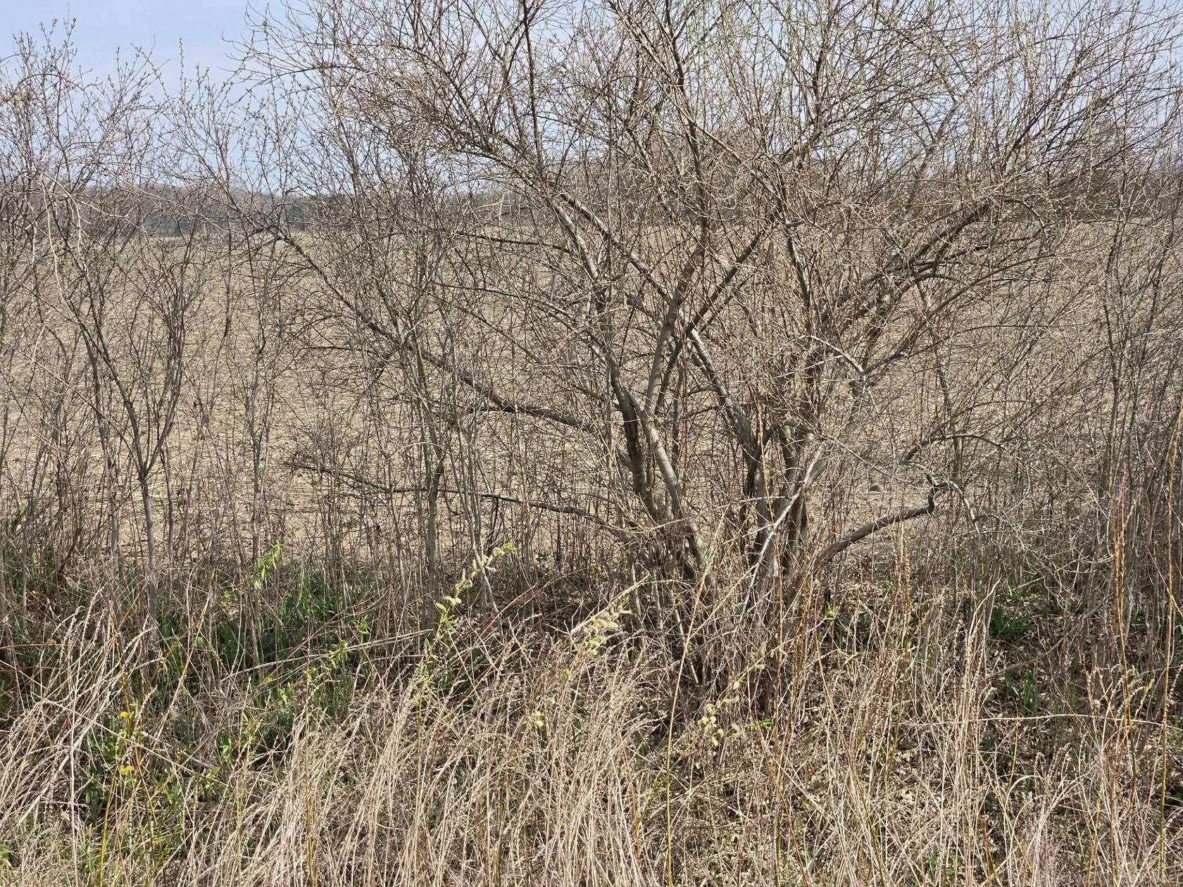 10 Acres of Residential Land for Sale in Columbus, Michigan