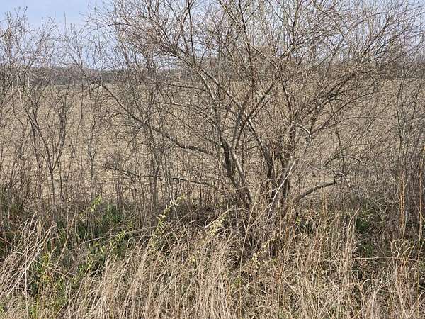 10 Acres of Residential Land for Sale in Columbus, Michigan