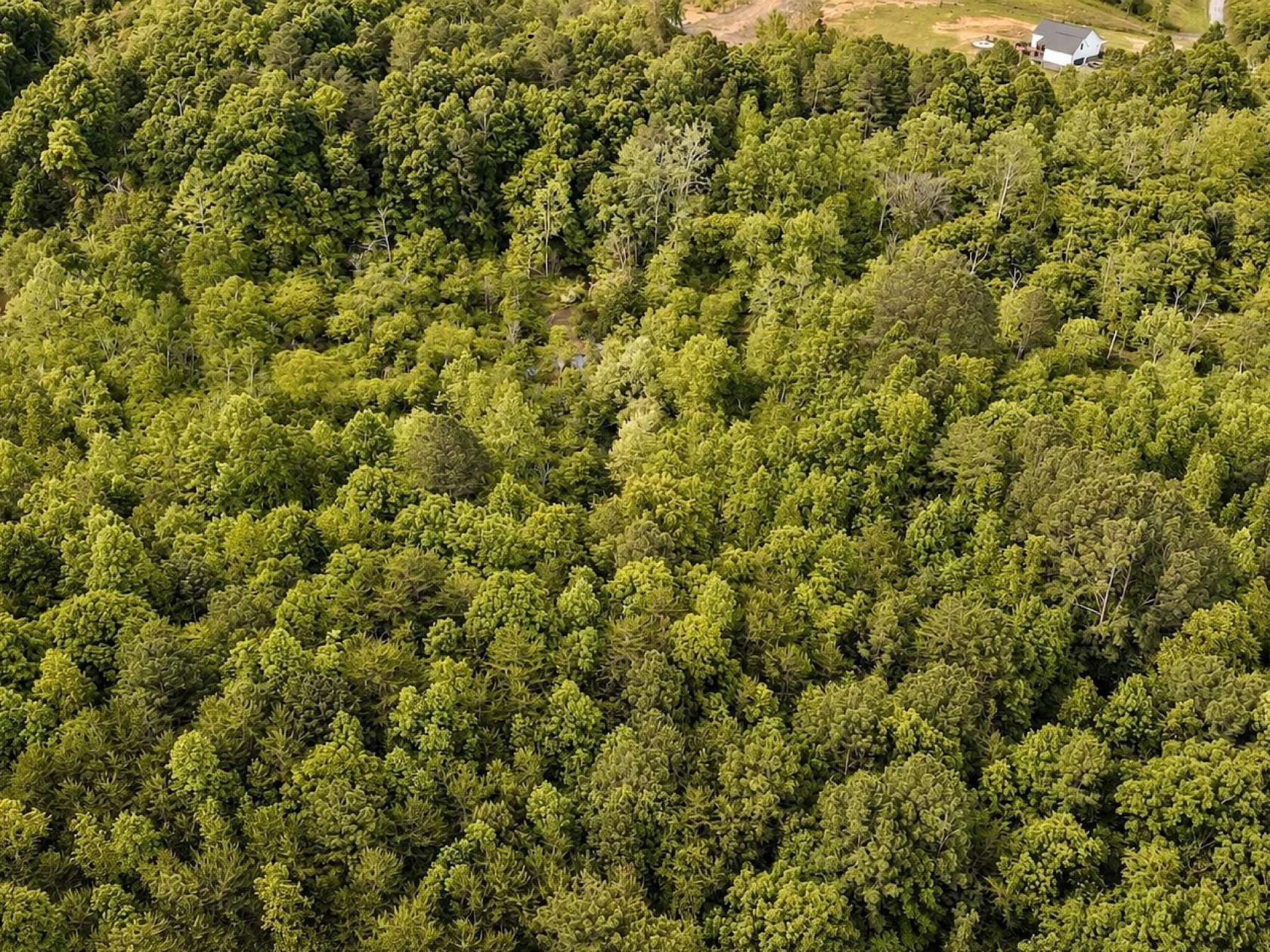 5 Acres of Land for Sale in Cleveland, Tennessee